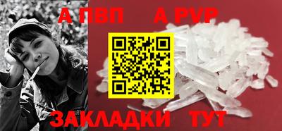 стафф Кингисепп