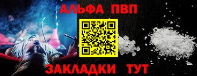 стафф Кингисепп