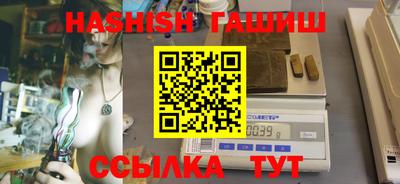 стафф Кингисепп