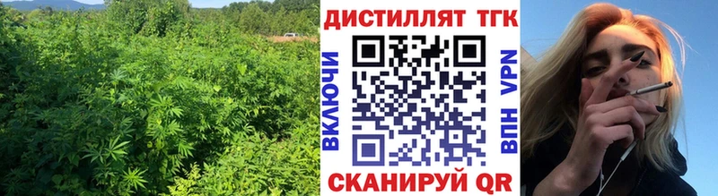 ТГК Wax Нововоронеж