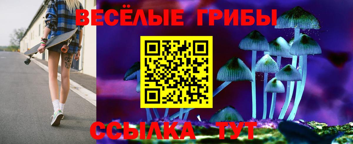 Псилоцибиновые грибы мухоморы Нововоронеж